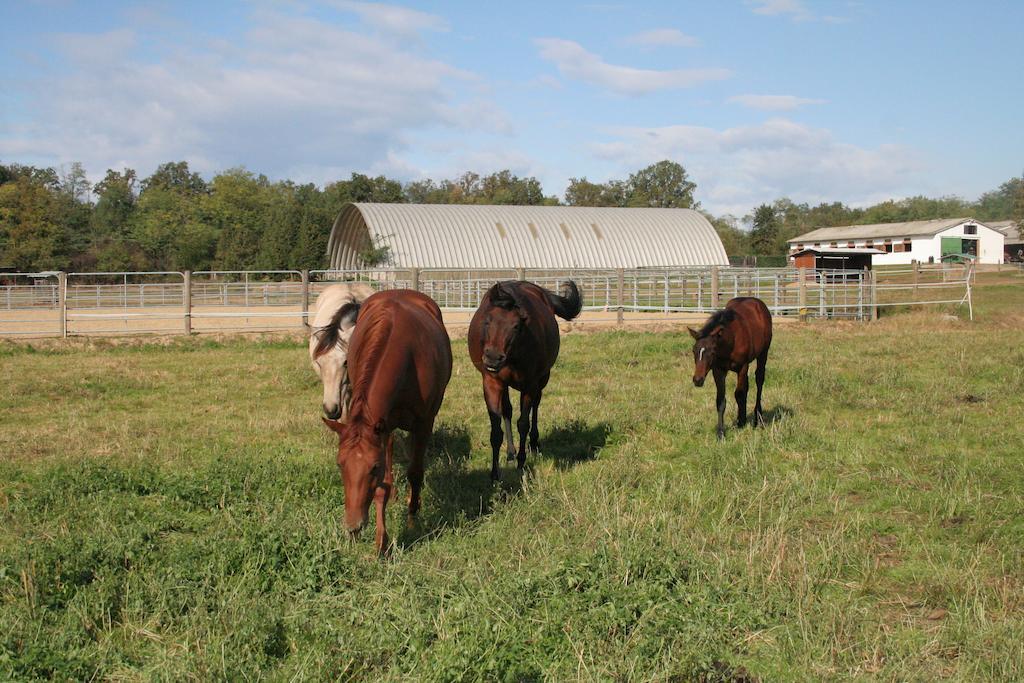 Agriturismo Fano'S Farm Suno エクステリア 写真