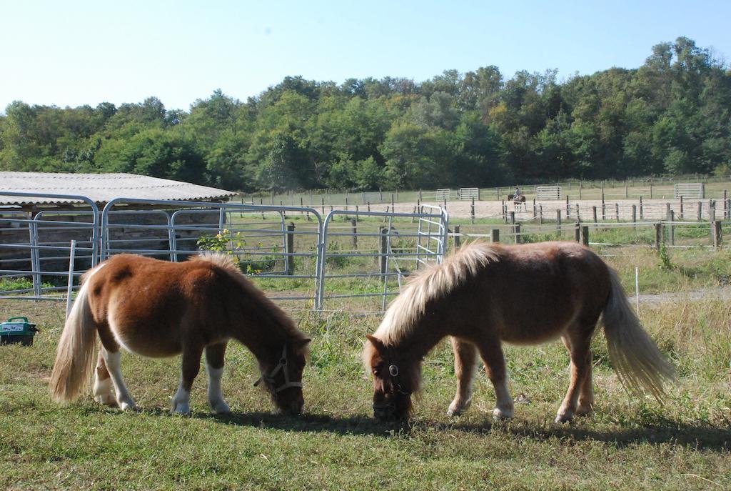 Agriturismo Fano'S Farm Suno エクステリア 写真